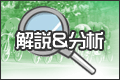 解説＆分析