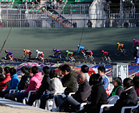 選手の気迫を感じる場所で