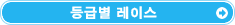 등급별 레이스