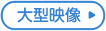 大型映像